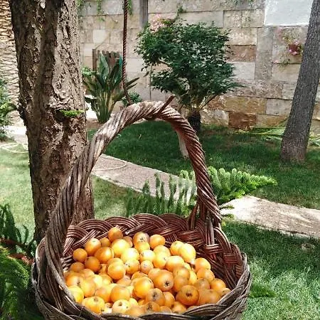Mediterraneo *